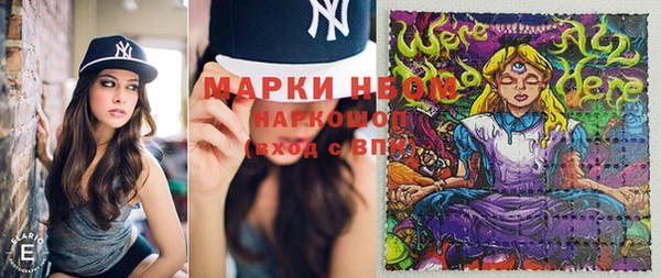 стаф Кукмор