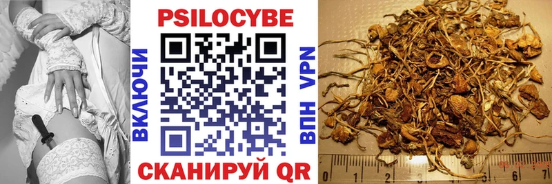 Псилоцибиновые грибы MAGIC MUSHROOMS  где можно купить   Лангепас 